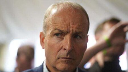 Micheál Martin says vitriol towards politicians ‘getting more dangerous’ and ‘fascist-like’