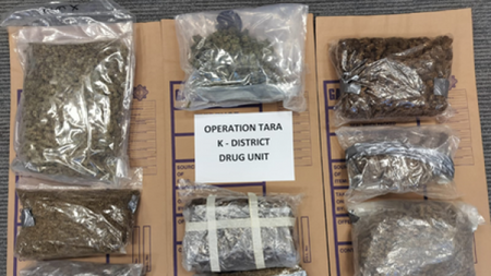 Man arrested as gardaí seize replica firearms and cannabis worth €100,000