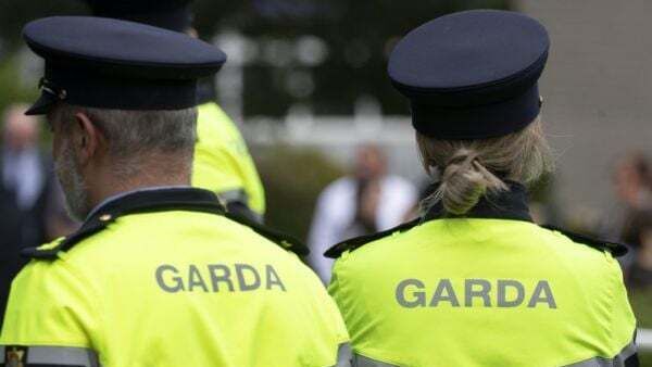 Garda management and associations agree on new interim roster