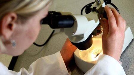 About 17,000 women in North to have smear tests re-checked