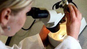 About 17,000 women in North to have smear tests re-checked About 17,000 women in North to have smear tests re-checked
