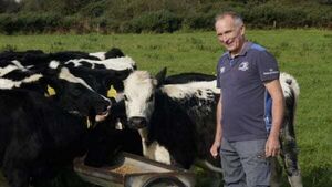 Offaly dairy farmer says 'there’s absolutely nothing for us in this budget' Offaly dairy farmer says 'there’s absolutely nothing for us in this budget'