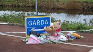 Bus driver tells court he drove accused home on day Ashling Murphy was killed Bus driver tells court he drove accused home on day Ashling Murphy was killed