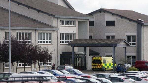 Woman injured in XL Bully dog attack in Wexford