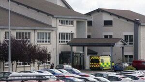 Woman injured in XL Bully dog attack in Wexford Woman injured in XL Bully dog attack in Wexford