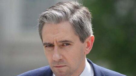 Harris: No chance of Fine Gael/Sinn Féin coalition after election