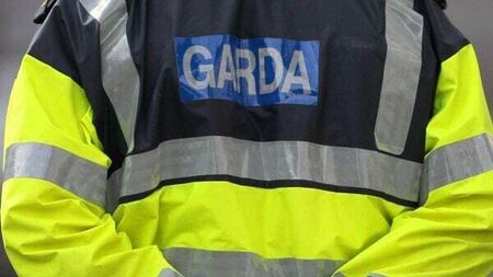 Man jailed for exposing himself to female Garda and using 'misogynistic' threats