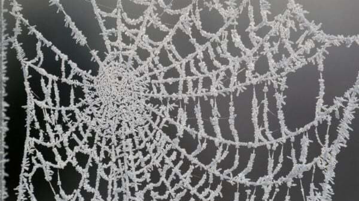 Cold snap brings warnings of ice and fog nationwide