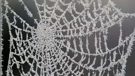 Cold snap brings warnings of ice and fog nationwide