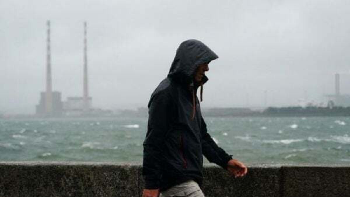 Storm Elin: Weather warnings in place for gale force winds