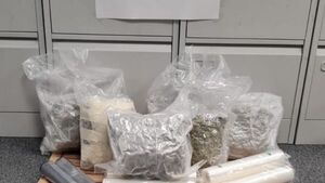 Gardaí seize cannabis worth €500,000 in Tallaght Gardaí seize cannabis worth €500,000 in Tallaght