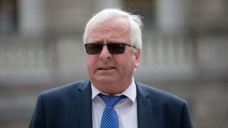 Rural Independent TDs call for referendum on Ireland's immigration policy