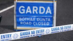 Man (20s) dies after motorway collision in Co Kildare Man (20s) dies after motorway collision in Co Kildare