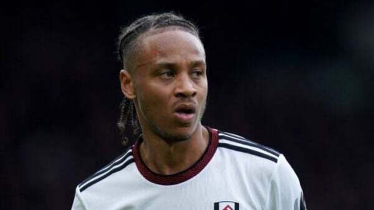 Bobby De Cordova-Reid stunner sees Fulham beat Rotherham in FA Cup