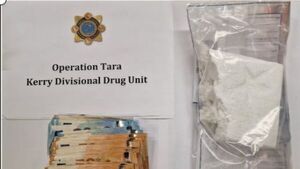 Gardaí seize firearms, ammunition and drugs worth €35,000 in Kerry Gardaí seize firearms, ammunition and drugs worth €35,000 in Kerry