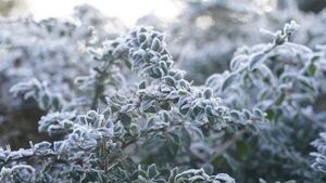 Freezing temperatures cause travel disruption as new ice warnings issued Freezing temperatures cause travel disruption as new ice warnings issued