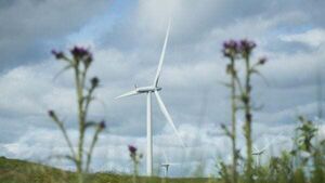 Wind farms supplied 35% of electricity last year Wind farms supplied 35% of electricity last year