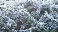 Warnings for further ice and snow as temperatures continue to fall