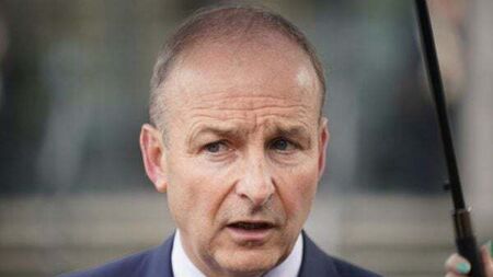 Tánaiste says court action should not be needed to unmask malicious fake profiles