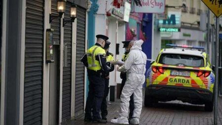 Gardaí investigating Tristan Sherry murder in Blanchardstown arrest two males