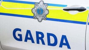 Pedestrian (70s) dies after getting knocked down by jeep in Dublin