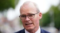 Israel is 'behaving like a rogue state', Coveney says