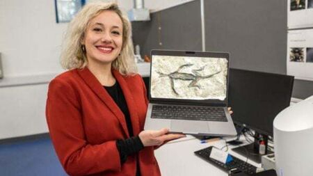 Fossil reptile from the Alps revealed to be partial forgery