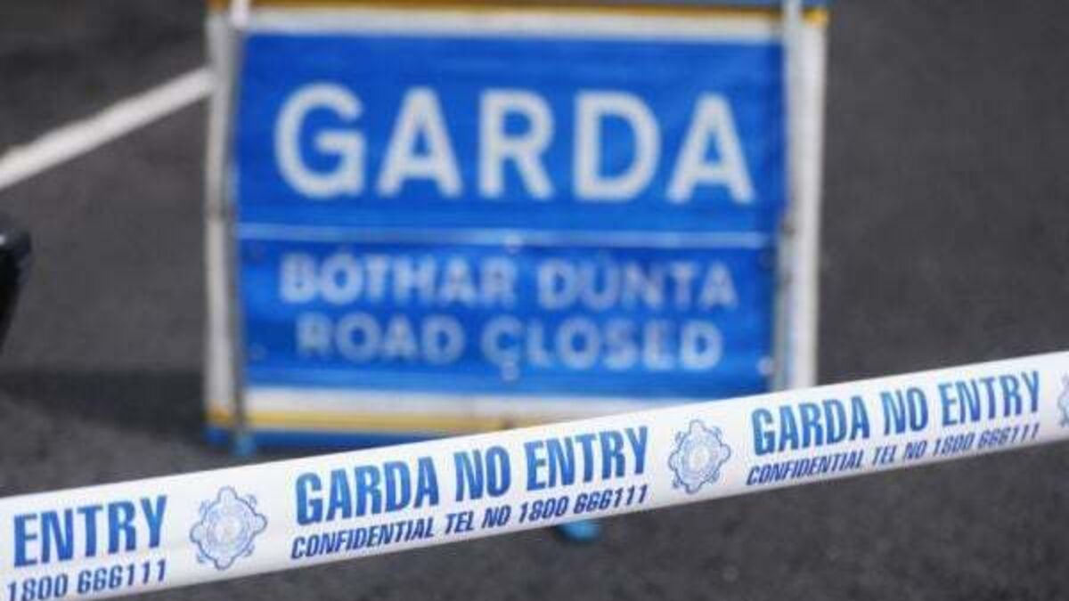 Young woman killed in Co Waterford crash