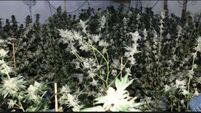 Drugs worth €631,500 seized by gardaí in Donegal