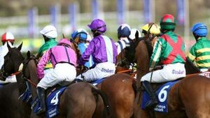 Cheltenham Quiz: How many festival wins has Willie Mullins under his belt?