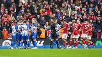 Brighton back to winning ways as Andrew Omobamidele own goal sinks Forest