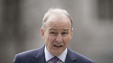 People’s push for change to Constitution may have been overestimated – Tánaiste