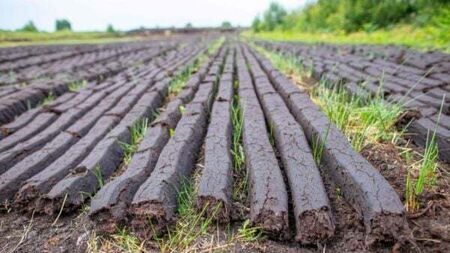 Ireland will take bog conservation ‘massively seriously’, says McConalogue