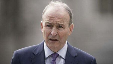 Fianna Fáil Limerick mayor candidate responds after tweets about Micheál Martin resurface
