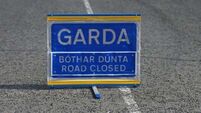 Man killed in single-vehicle crash on M11 in Arklow