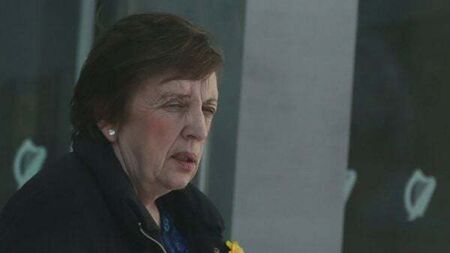 'Failed by the system': Mother hits out at psychiatric services after son tried to murder her