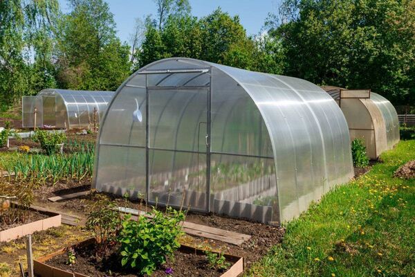 Polycarbonate greenhouse