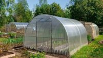 Green Fingers: Marking time before the big push