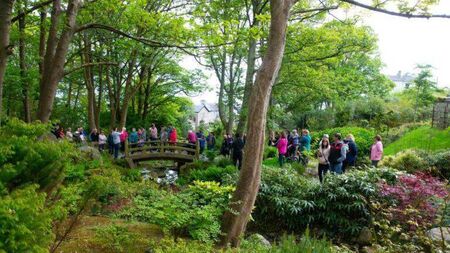 What's on in Waterford March/April