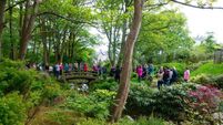 What's on in Waterford March/April