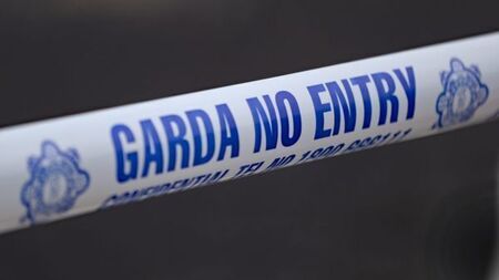 Two men in hospital after shots fired at home in north Dublin