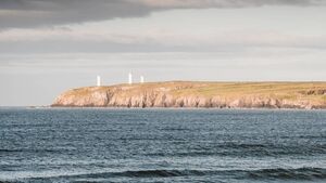 Local Notes: Tradchestra, biodiversity champions and furniture appeals Local Notes: Tradchestra, biodiversity champions and furniture appeals