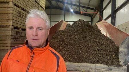 Ireland's favourite potato will be scarce by June, say farmers praying for rain to stop