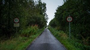 Ireland has third-highest level of deaths on rural roads in EU