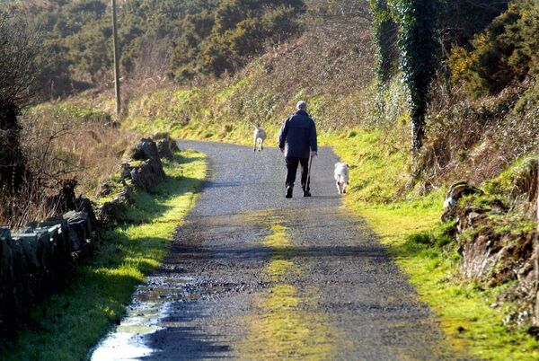 Marpark Lane by the River Suir