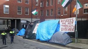 Refugee council has 'substantial concerns' over EU's new migration pact Refugee council has 'substantial concerns' over EU's new migration pact