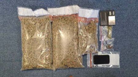 Cannabis worth €85,000 seized and 10 arrested during major operation in Co Wexford
