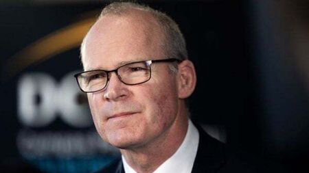 Simon Coveney linked with European Parliament run