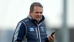 Davy Fitzgerald: 'Whatever bit of stick is coming, we all have to take it'