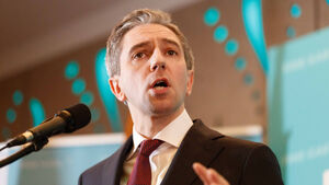 Phoenix: 'Dear Taoiseach Harris, Waterford has been wounded by you'
